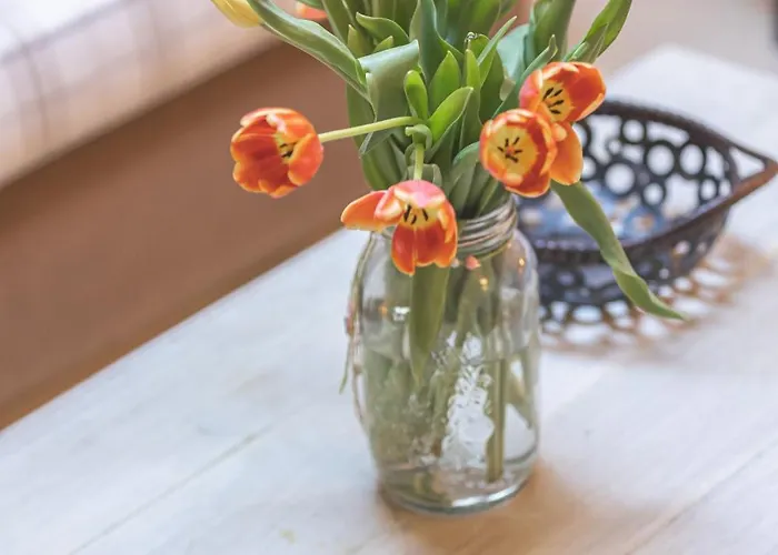 Arethousa فندق 3*